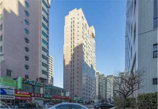 真空对夹式止回阀结构